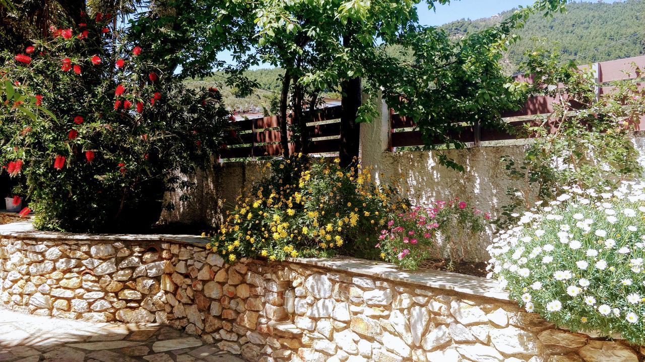 Maria Studios Skiathos Exterior foto